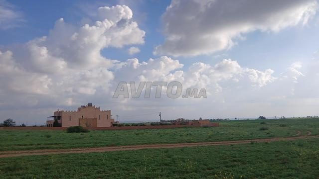 5 هكتار 8660 متر مربع مرخصة جماعة جبلات