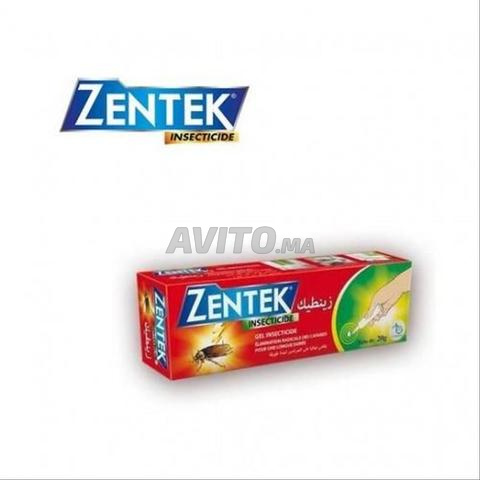 Zentik Xapress - 2