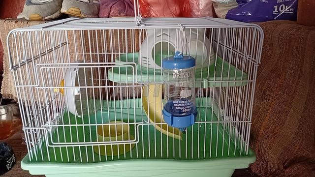Les cages de hamster - 2