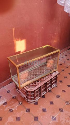 حوض سمك الزينة - 2