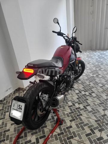 Benelli Leoncino 500 - 2