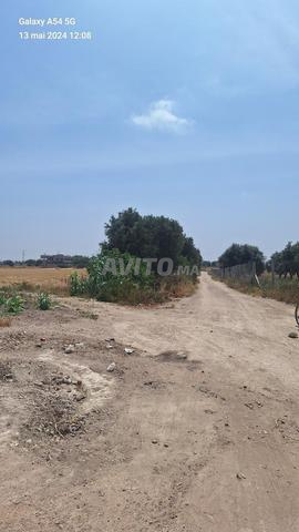 Terrain agricole à vendre - 2