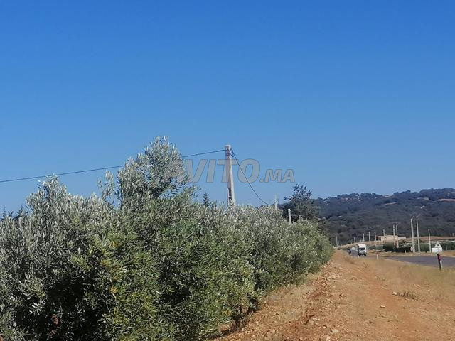 أرض للبيع. تقع بين الحاجب وإفران - 2