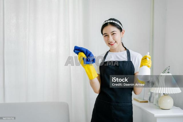 Agence Services Ménage, Nounou, Cuisinière