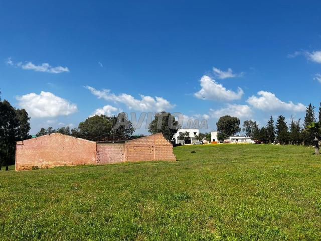 Ferme spacieuse près de Sidi Yahya Zaer  - 2