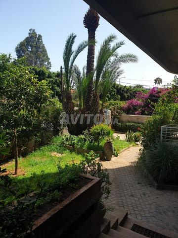 Studio vide Rez-de-chaussée terrasse - 2