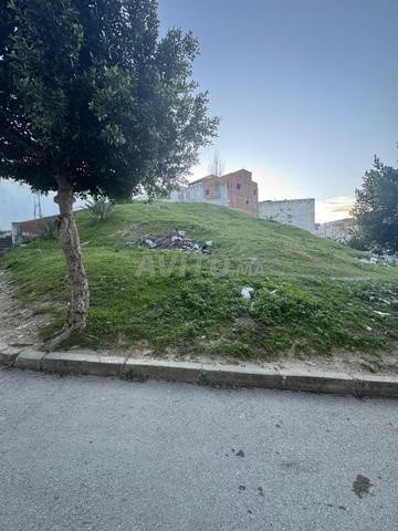 Terrain de 300 m² - 2