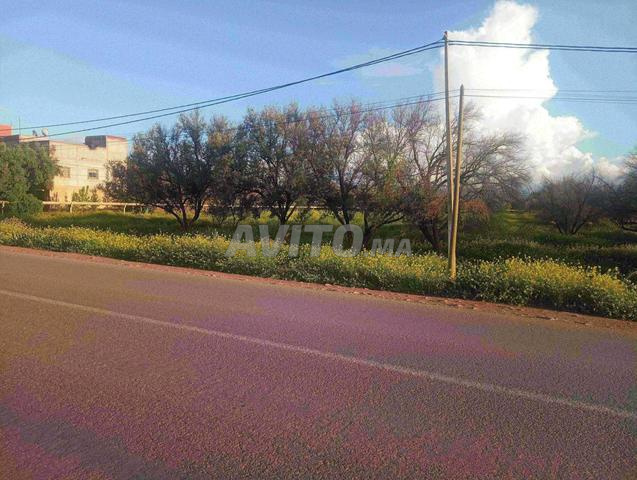 أرض وركي نواحي العطاوية على بعد 9 كم