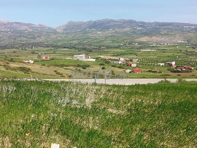 Opportunité immobilière