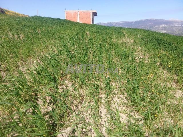 Opportunité immobilière - 2