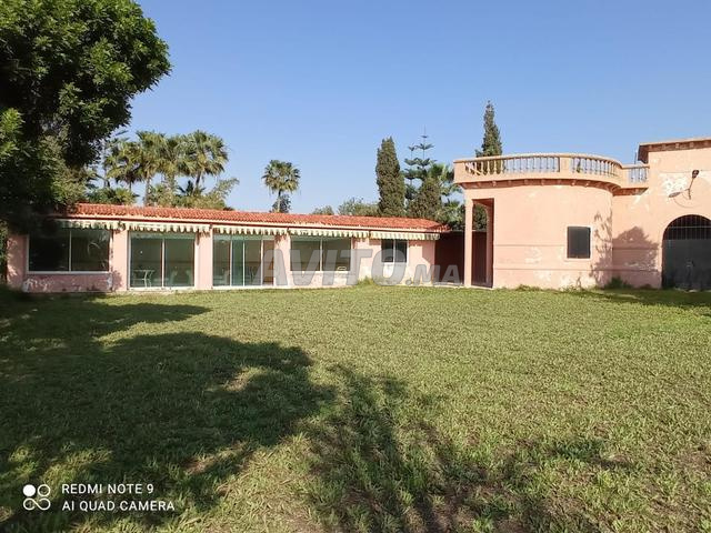 فيلا رائعة للبيع في الطريق المحمدية همزة - 2