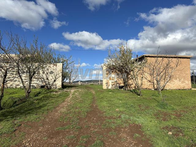 Terrain agricole ( Ferme ) - 2