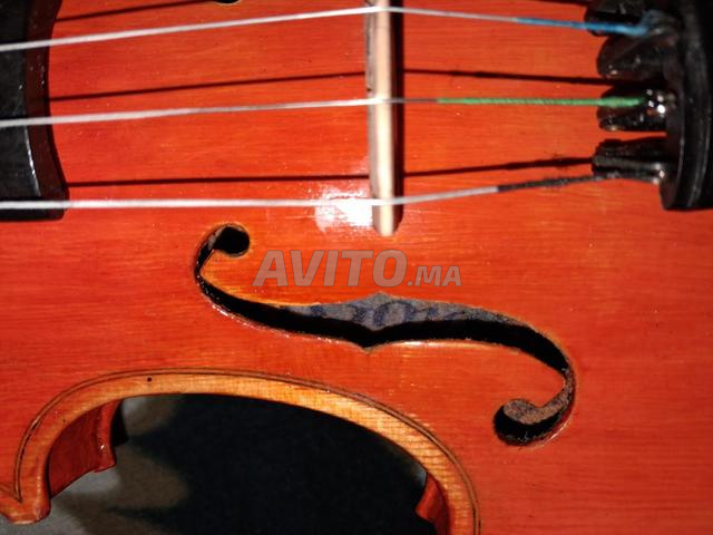 كمان 4/4 - 2