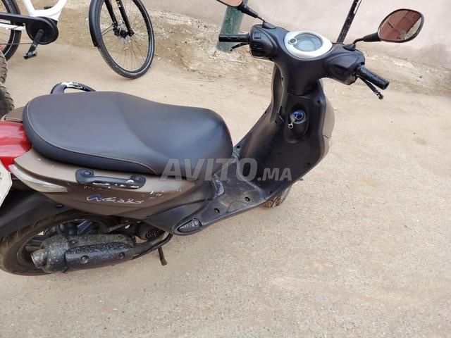 نيو نقي وغزال - 2