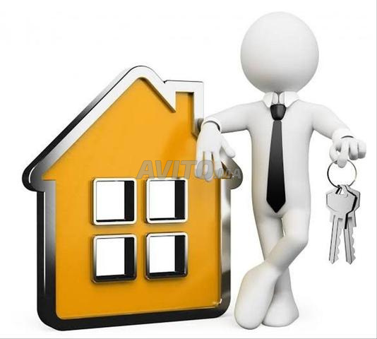 بوجارة مستقل