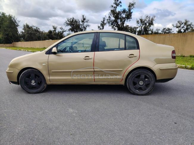 volkswagen polo نقية 