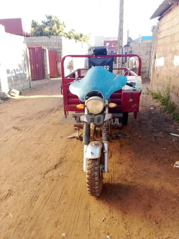 تريبورطور لا يزال نظيفًا