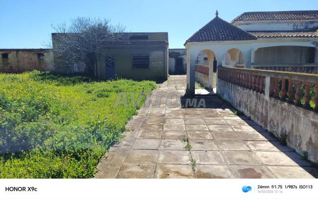 أولاد يحيى لوطا - 2