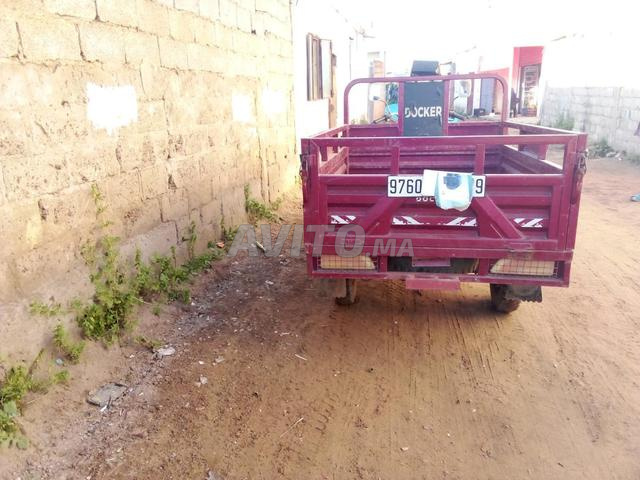 تريبورطور لا يزال نقيًا - 2