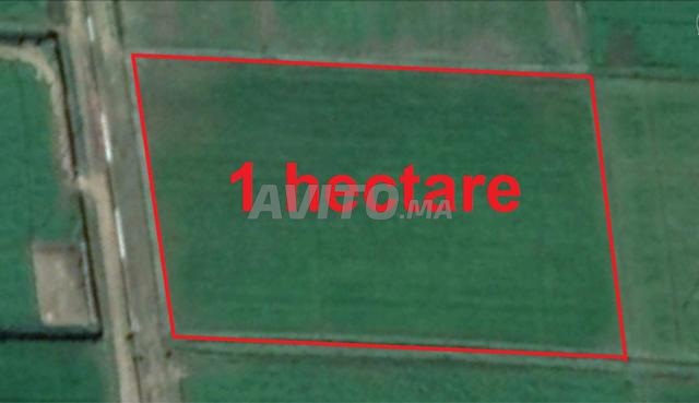 أراضٍ سكنية محفظة بسيدي رحال استثمار آمن - 2