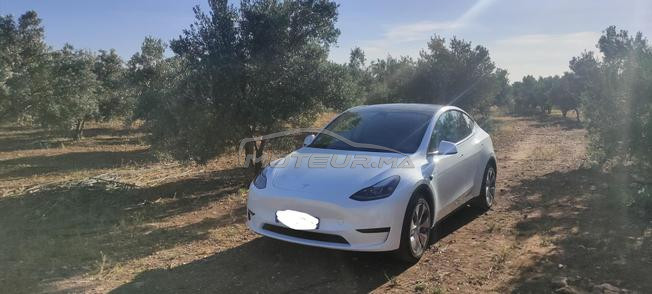 Tesla Model Y Electrique Automatique 2023