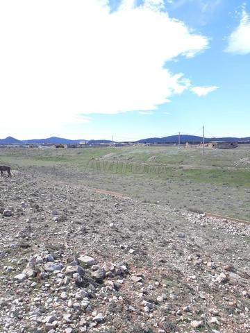 Terrain agricole titré - 2