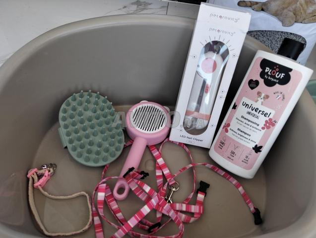 Matériel neuf pour chat - 2