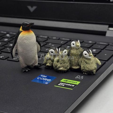 HP VICTUS 15 / i5 الجيل 12 / RTX 4050 - 2