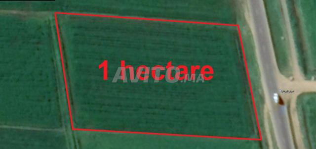 أراضٍ فلاحية محفظة وفيلات للبيع ببئر جديد - 2