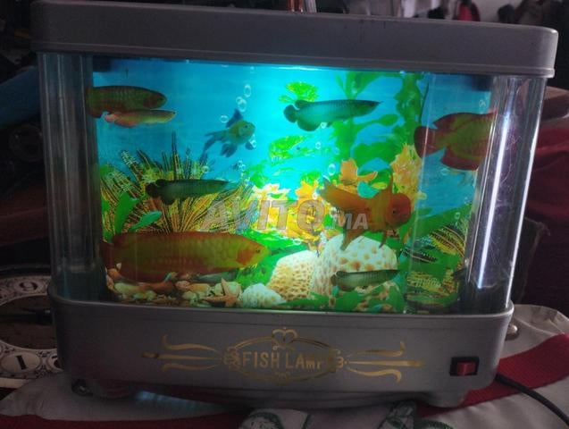 🐠 مصباح سمكة