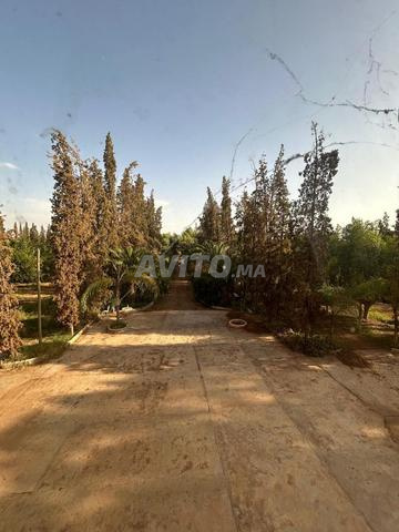 بيع أرض زراعية بمساحة 260000 متر مربع في مراكش