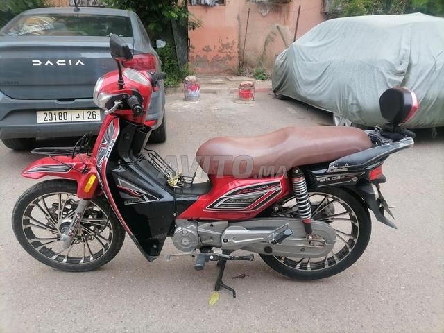 كايسا أحمر - 2