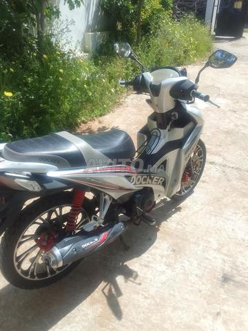 دوكر سي 50 2023 - 2