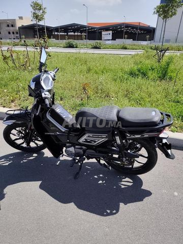 MOTO RIBEIRO 33 49 CC - 2