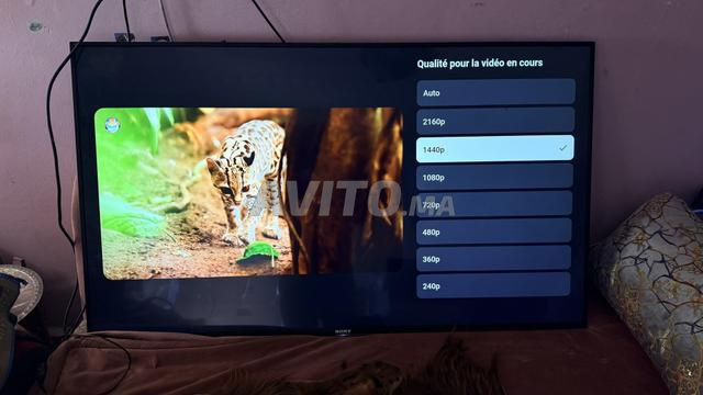 تلفزيون سوني سمارت 55 بوصة - 2