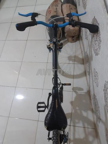 بيتوان 24 لا تزال نظيفة - 2