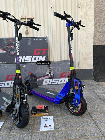 Bison GT 1000W