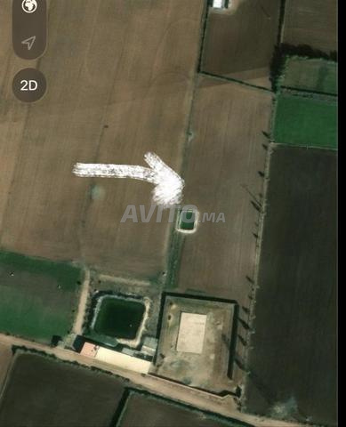 أرض مساحة هكتار محفظة، بها الماء والضوء. - 2