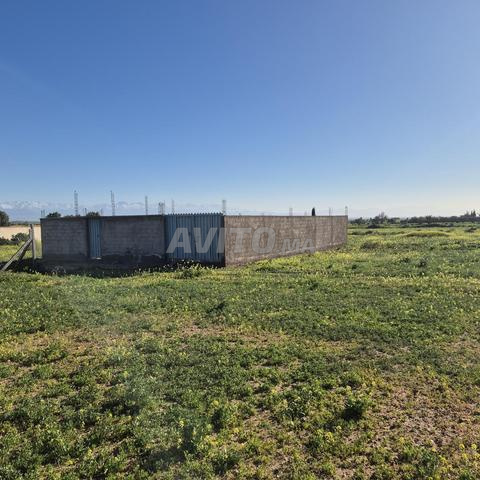 Terrain Villa 16km Marrakech bon afir mlkiya