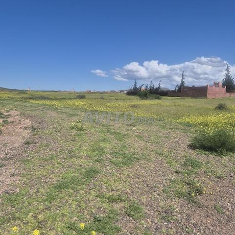 Terrain 16km Marrakech zone touristique