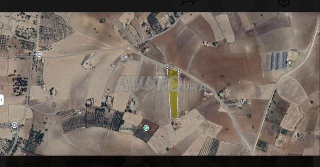 Terrain agricole à vendre - 2