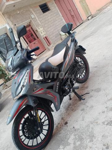 Modèle Sanya 2023 - 2