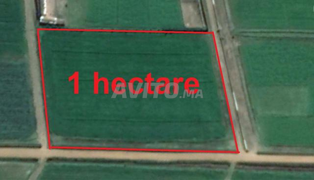 Terrains titrés à Bir Jdid pour projets agricoles