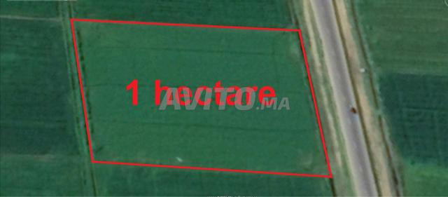 أراضٍ محفظة ببئر جديد لمشاريع سكنية - 2