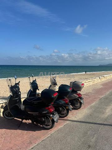 تأجير سكوتر - 2