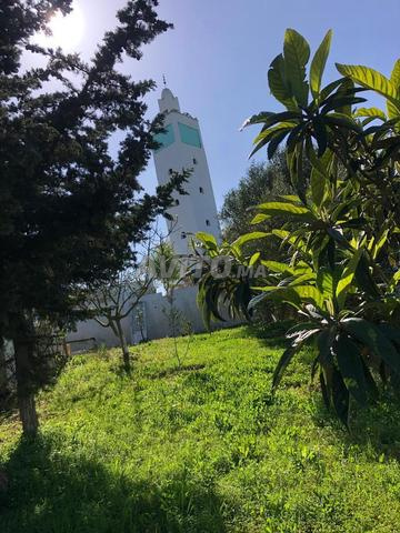 Terrain titré de 1172m² à vendre à Mellaline - 2