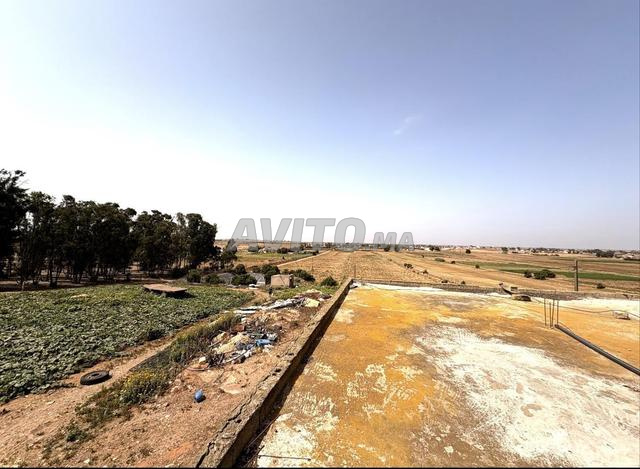 Ferme à vendre Had Soualem 49000m2
