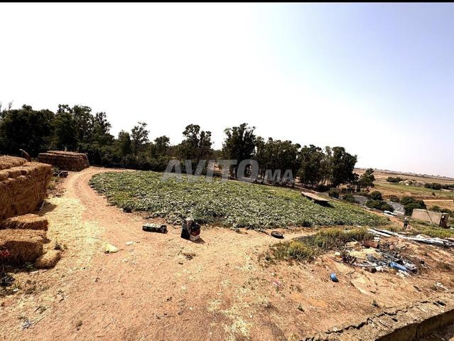 مزرعة للبيع حد السوالم 49000م2 - 2