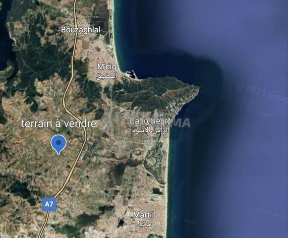 أرض للبيع تطوان – منطقة الملاليين