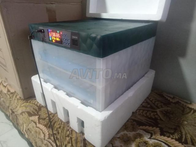 Incubateur d'œufs à vendre, capacité 200 œufs - 2